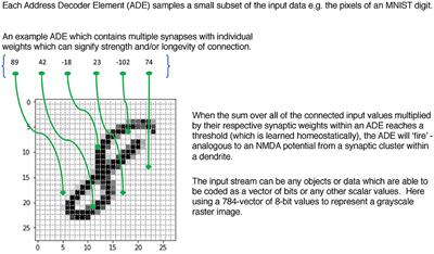 BitBrain and Sparse Binary Coincidence (SBC) memories: Fast, robust learning and inference for neuromorphic architectures